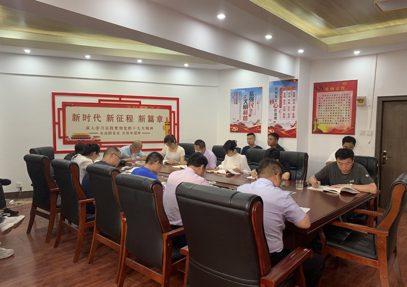 “1+1+N”模式，讓主題黨日活動“活”起來