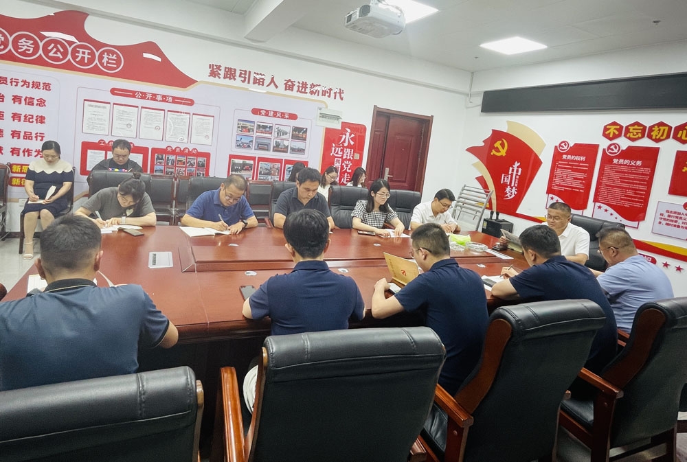 市監(jiān)理咨詢有限公司黨支部學習習近平總書記視察山東重要講話精神